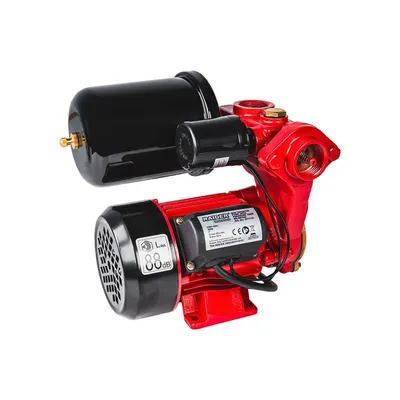 წყლის ტუმბო (WP550-45L) RAIDER - 1