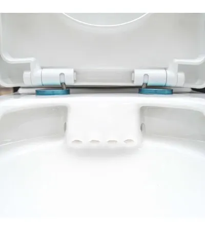 Toilet with Cistern, Mechanism, and Lid #1003C/D