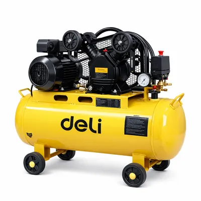 ჰაერის კომპრესორი 2.2 kw 100L DL-PKY0.25/8-E1 deli